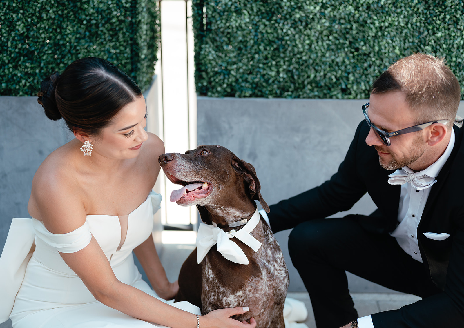 Newlyweds sit on a garden patio with their brown dog wearing a white bowtie Saint Elle Wedding